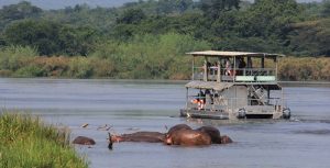 7 Days Best of Uganda Safari