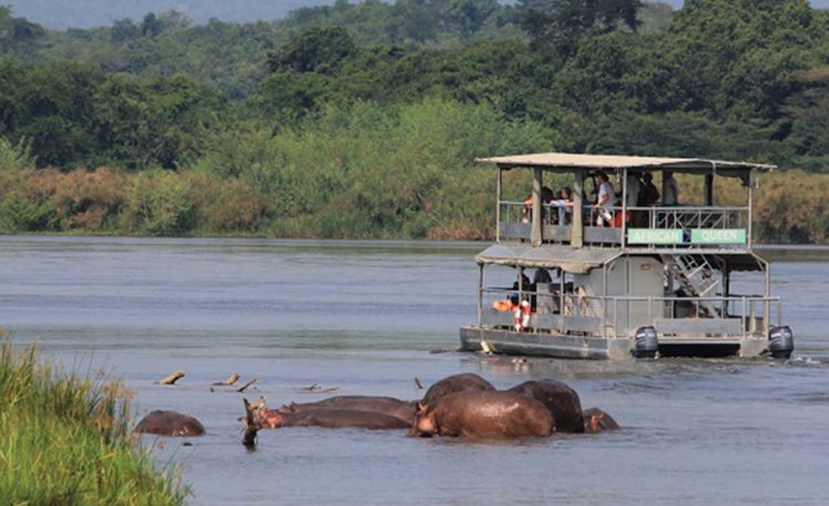 7 Days Best of Uganda Safari