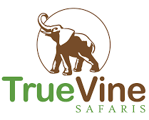 True Vine Safaris Uganda